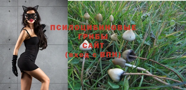 мет Пересвет