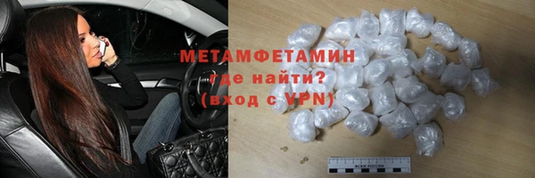 прущие грибы Покровск
