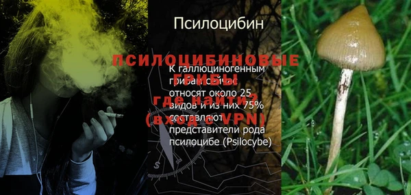COCAINE Покачи