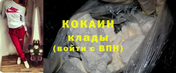 прущие грибы Покровск