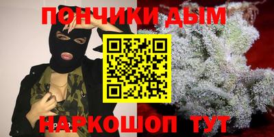 шишки Берёзовский