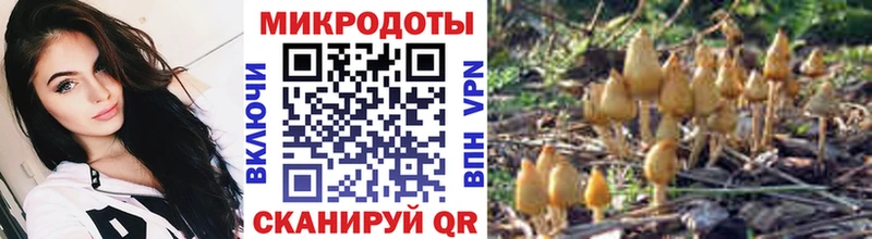 Псилоцибиновые грибы мухоморы  сайты даркнета наркотические препараты  Борисоглебск  как найти  