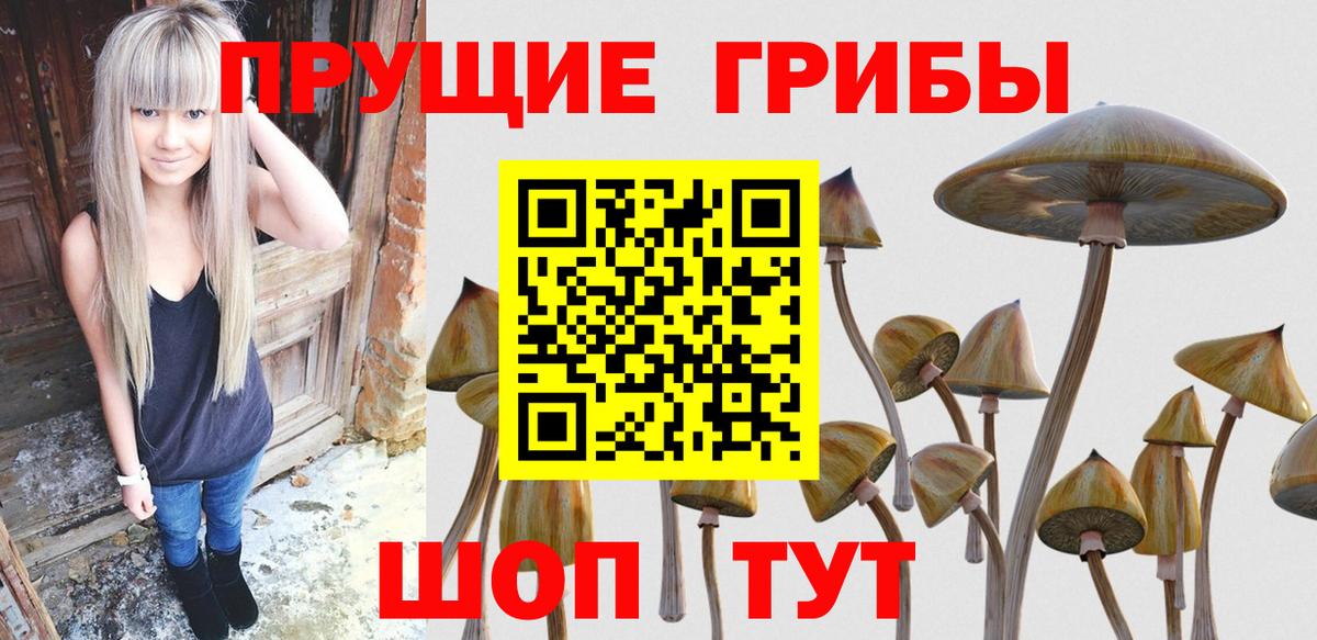 Псилоцибиновые грибы GOLDEN TEACHER Борисоглебск