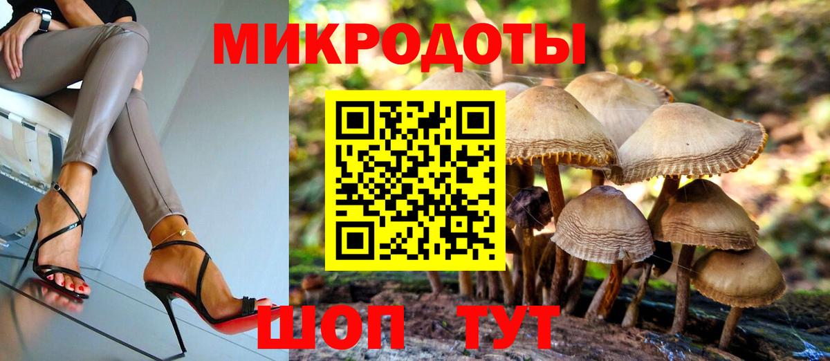 Галлюциногенные грибы прущие грибы  Борисоглебск 